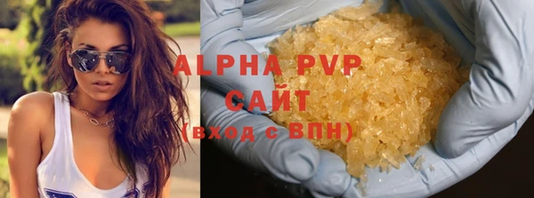 спиды Горняк