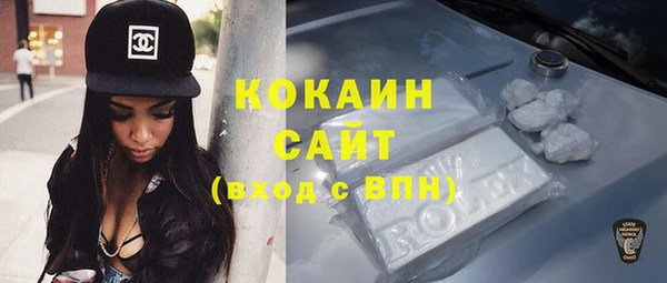 спиды Горняк