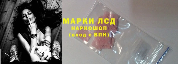 сатива Горнозаводск