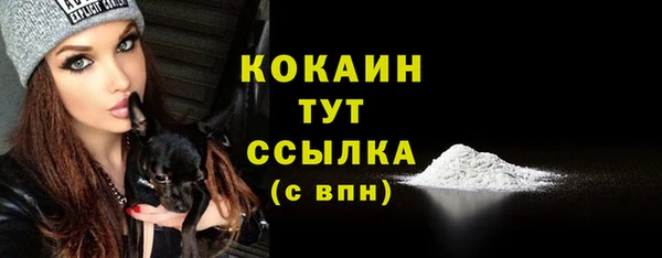 сатива Горнозаводск