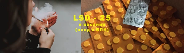 спиды Горняк
