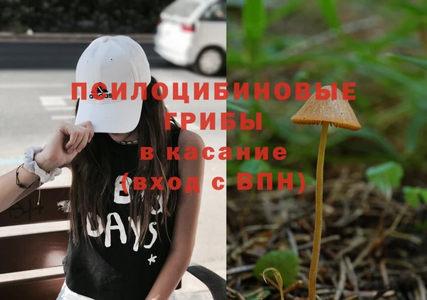 спиды Горняк