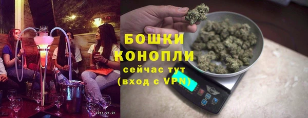 сатива Горнозаводск