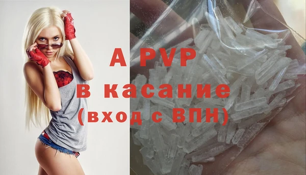 сатива Горнозаводск